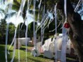 /album/bodas/bodasaire-59-jpg/